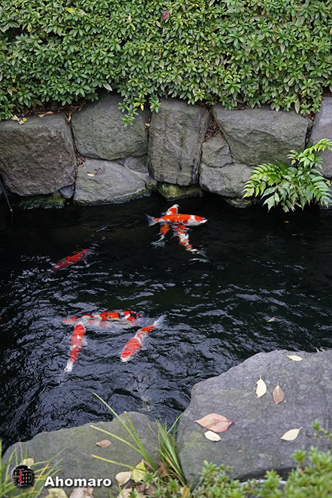 写真00