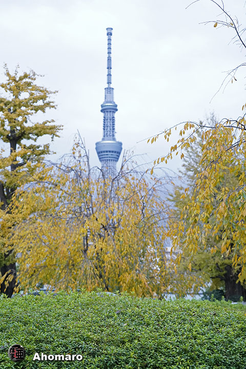 写真00