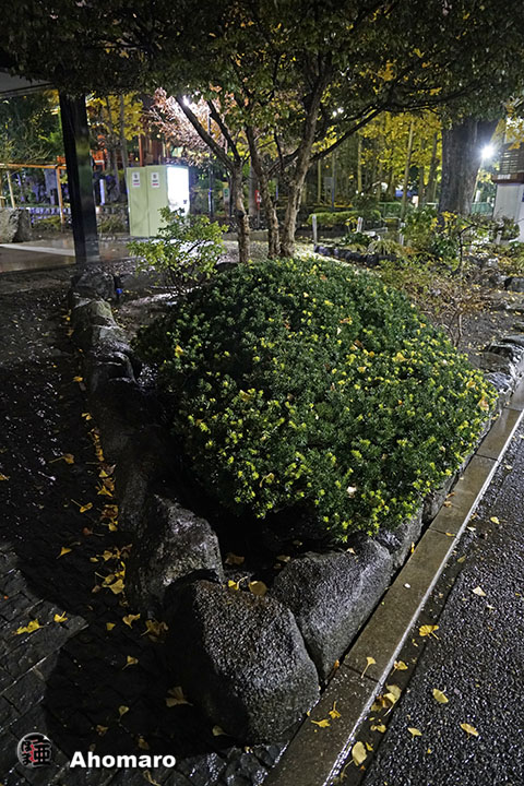 写真00