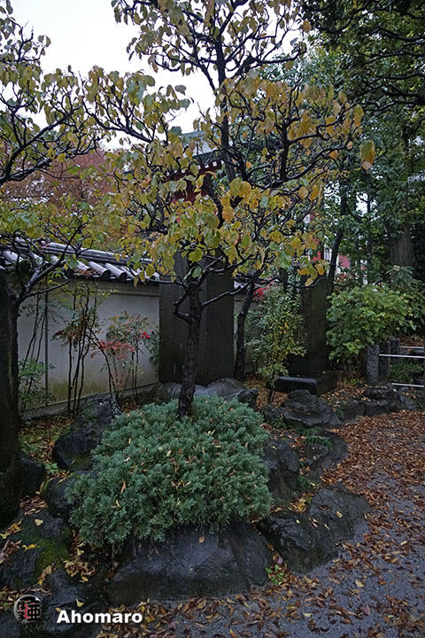 写真00