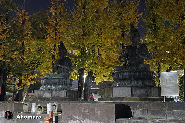 写真00