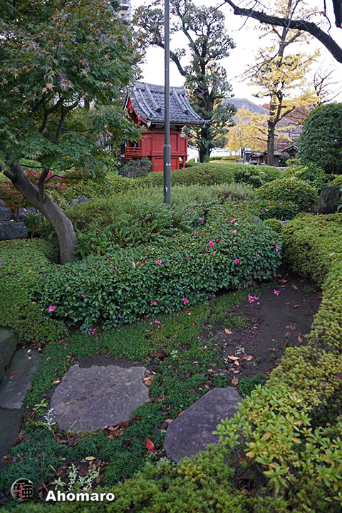写真00