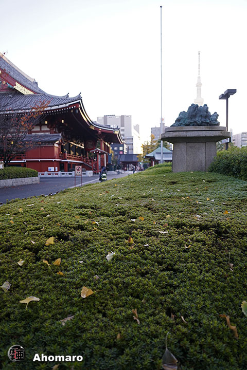 写真00