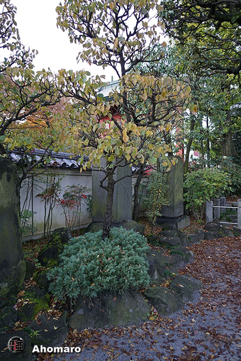 写真00
