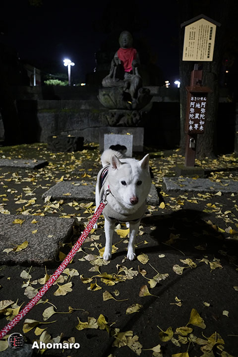 写真00