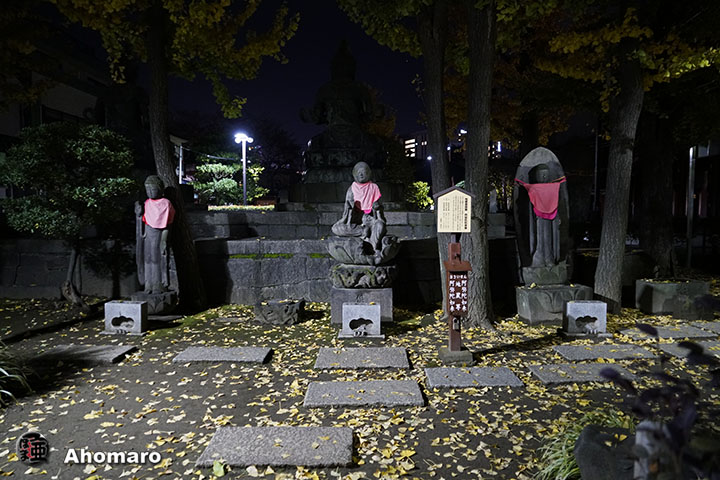 写真00