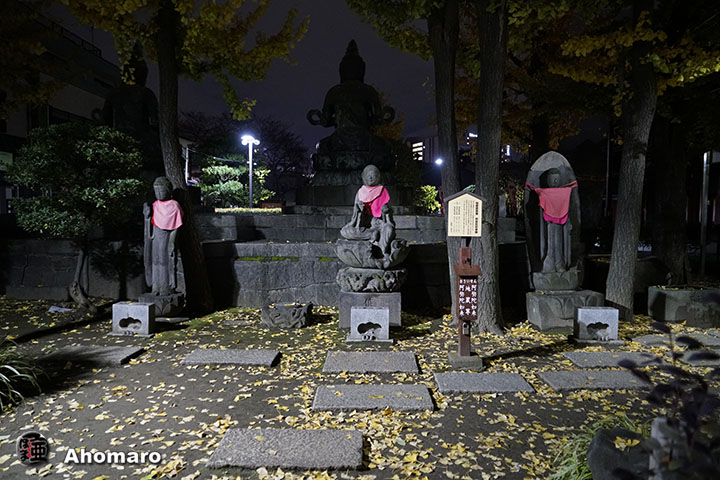 写真00