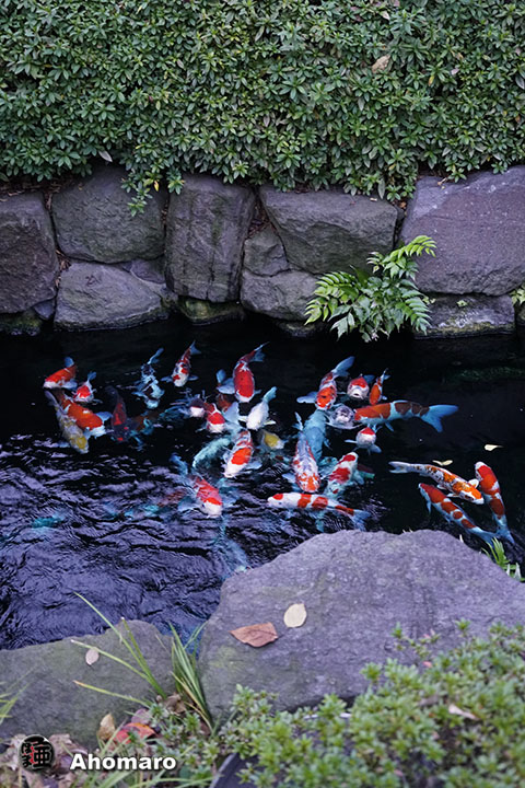 写真00