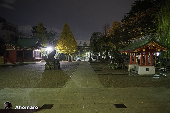 写真00