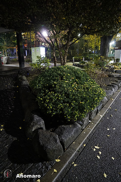 写真00