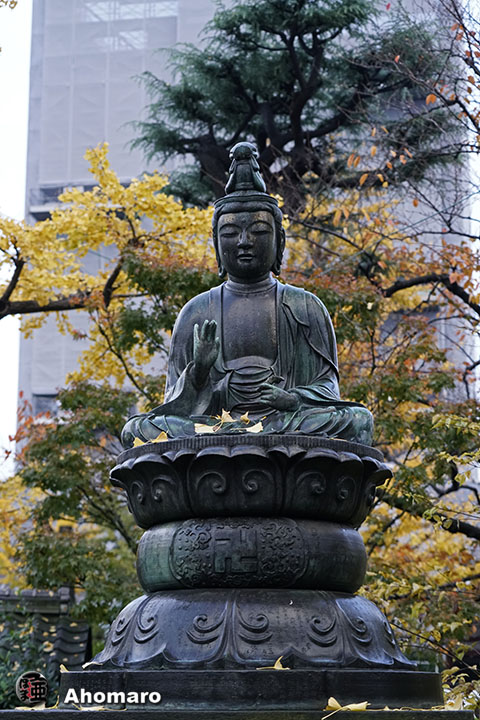 写真00