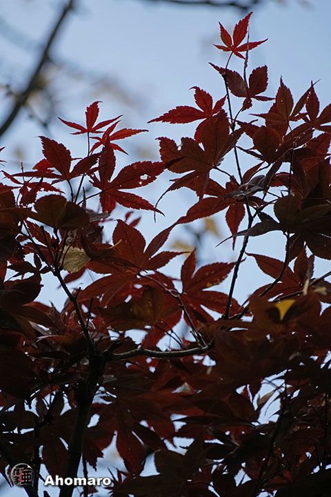写真00