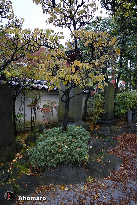 写真00