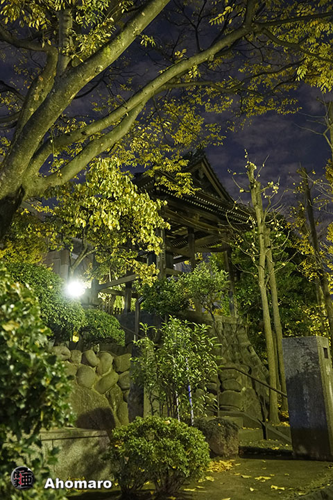 写真00