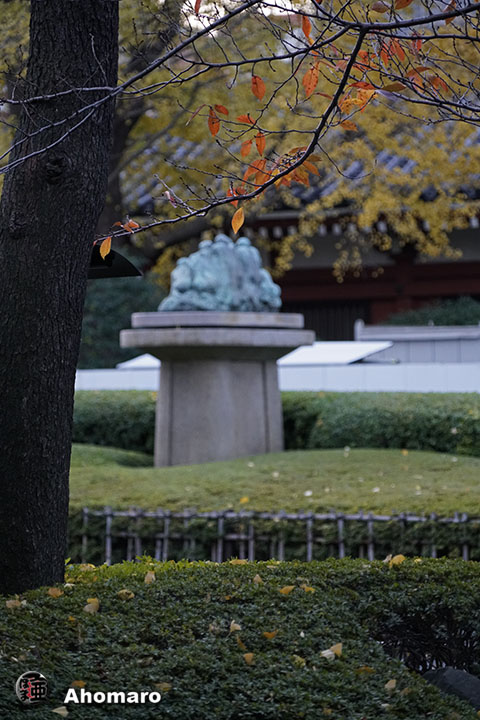 写真00