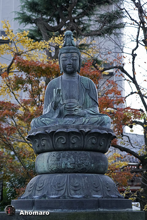 写真00