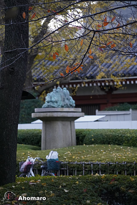 写真00