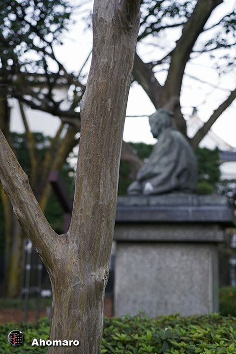 写真00
