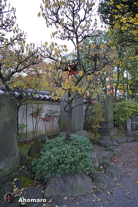 写真00