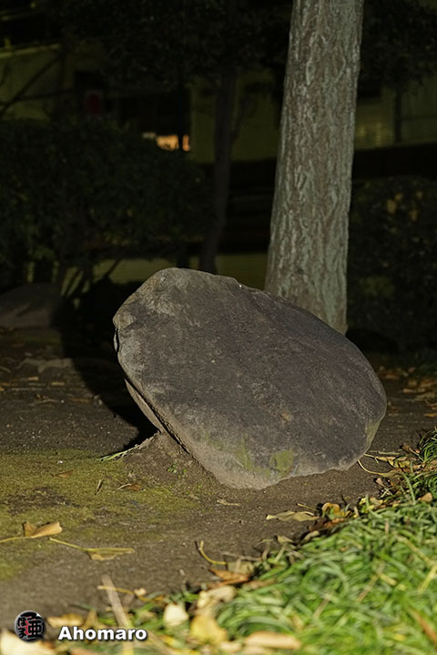 写真00