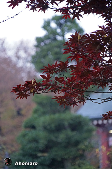 写真00