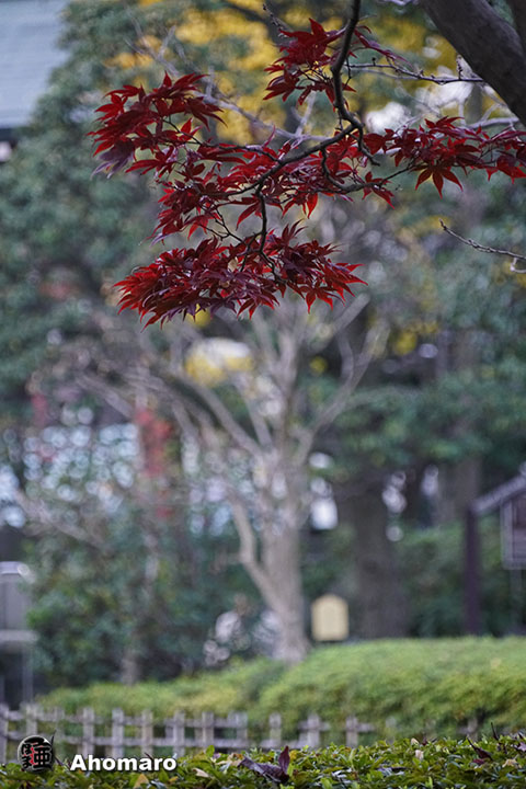 写真00