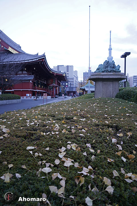 写真00