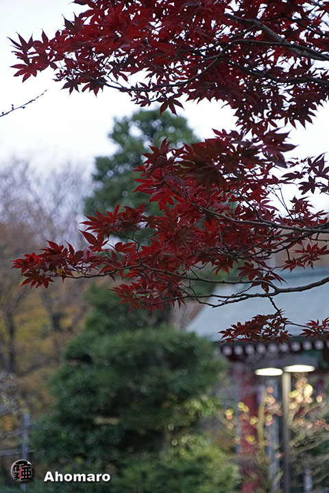 写真00