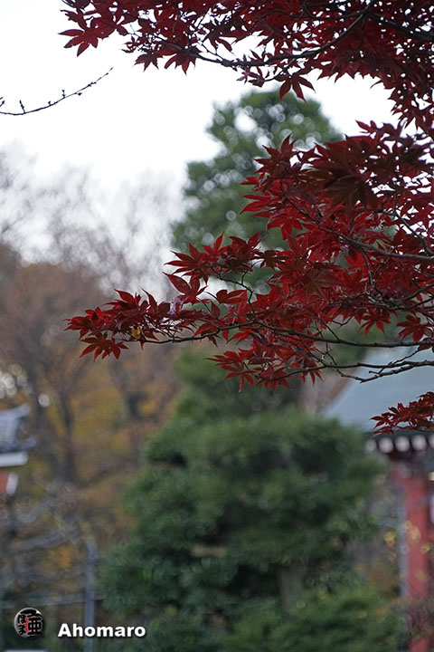 写真00