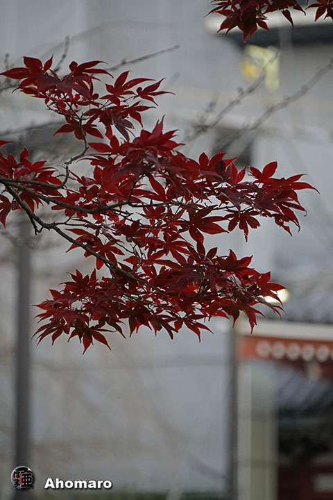 写真00