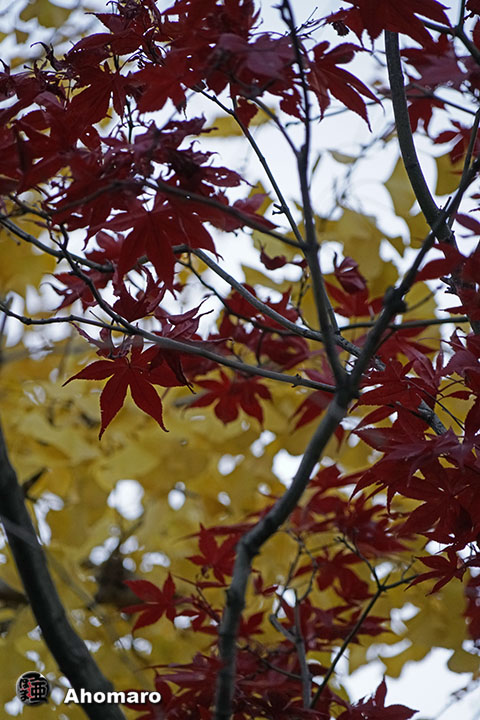 写真00