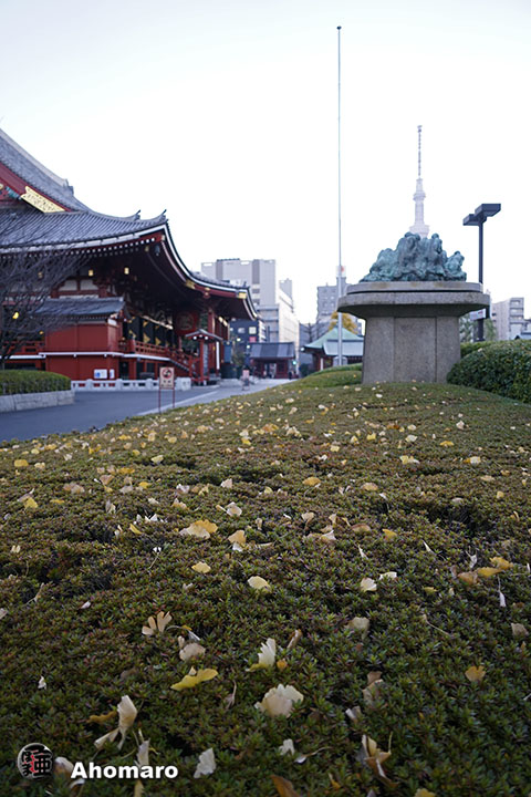 写真00
