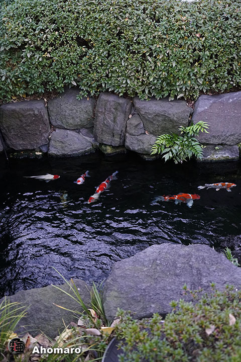 写真00