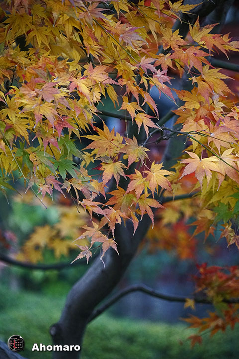 写真00
