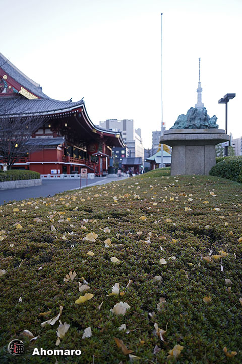 写真00