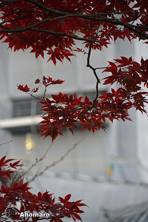 写真00