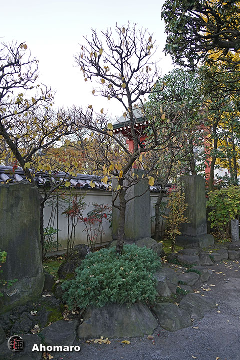 写真00