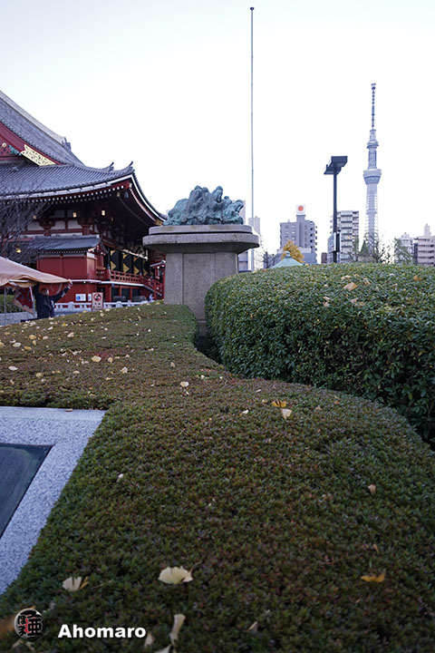 写真00