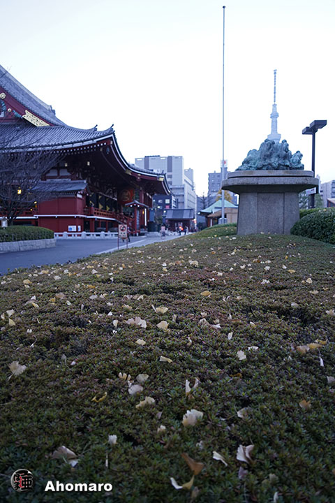 写真00