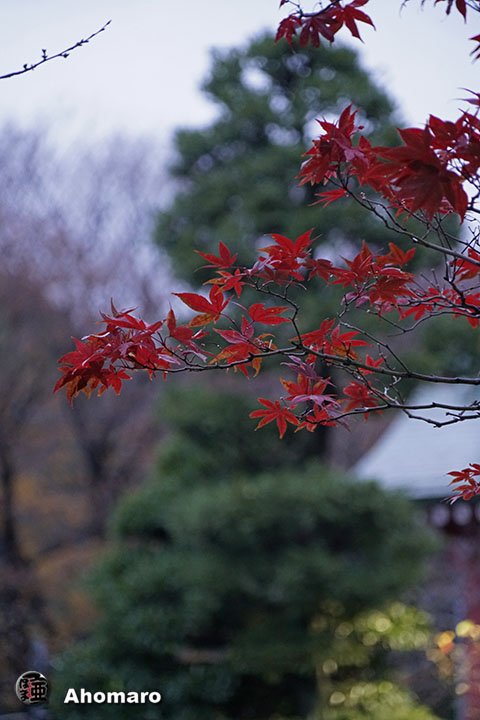 写真00