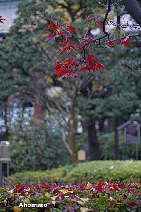 写真00