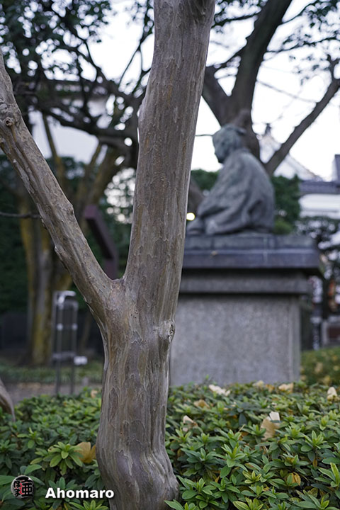 写真00