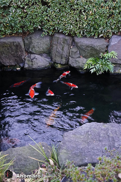 写真00