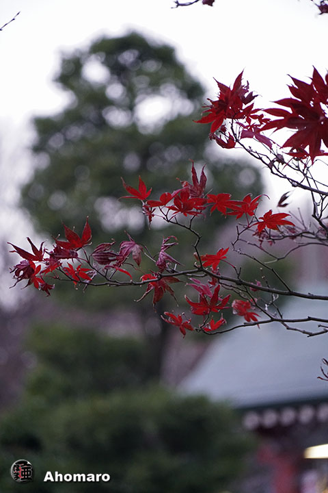 写真00