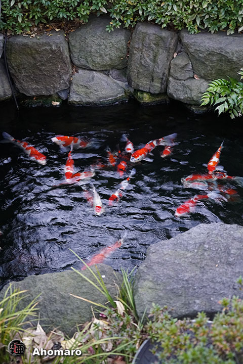 写真00