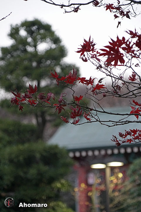 写真00