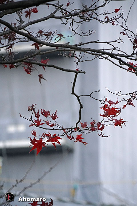 写真00