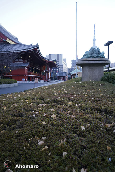 写真00