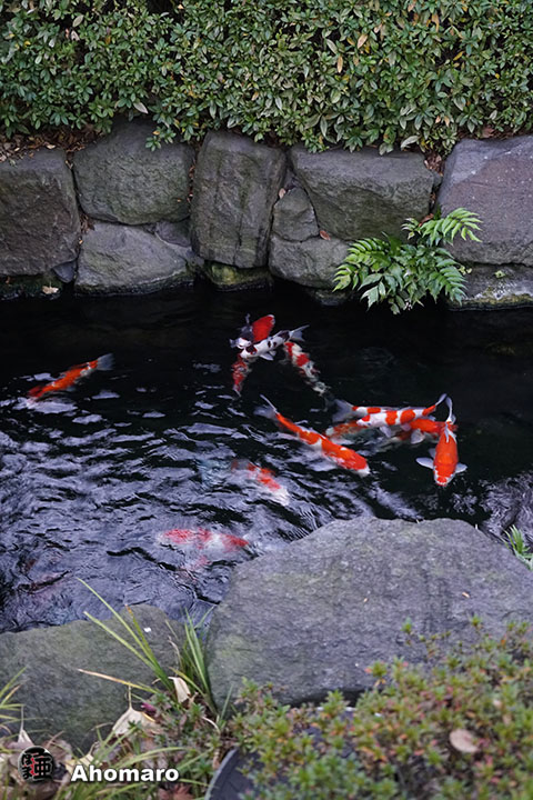 写真00