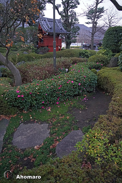 写真00